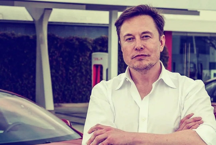Elon Musk's hair